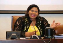 Nelson Mandela Bay Mayco Meets Amid Activism and HIV Campaigns