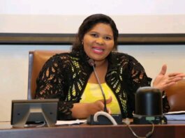 Nelson Mandela Bay Mayco Meets Amid Activism and HIV Campaigns