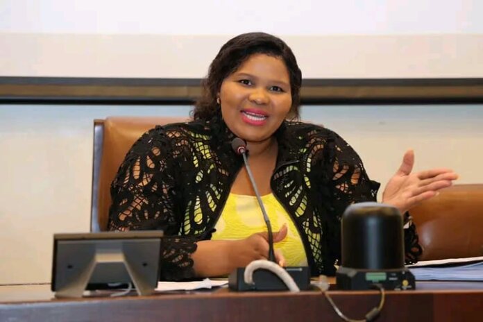 Nelson Mandela Bay Mayco Meets Amid Activism and HIV Campaigns