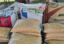 Farmers Unite at EmaXesibeni for “Heart of Perfect Farming” Event Farmers Unite at EmaXesibeni for “Heart of Perfect Farming” Event