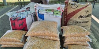 Farmers Unite at EmaXesibeni for “Heart of Perfect Farming” Event Farmers Unite at EmaXesibeni for “Heart of Perfect Farming” Event