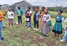 Farmers Urged to Use Government Inputs Responsibly Farmers Urged to Use Government Inputs Responsibly