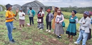 Farmers Urged to Use Government Inputs Responsibly Farmers Urged to Use Government Inputs Responsibly