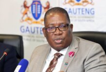 Gauteng Is Ready” for G20 Leaders’ Summit Gauteng Is Ready” for G20 Leaders’ Summit