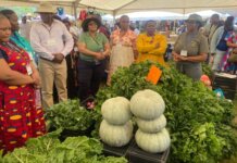 MEC Kontsiwe Engages Farmers at Agricultural Show