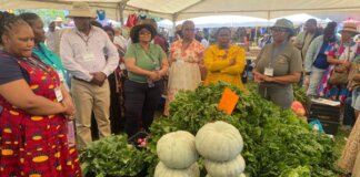 MEC Kontsiwe Engages Farmers at Agricultural Show