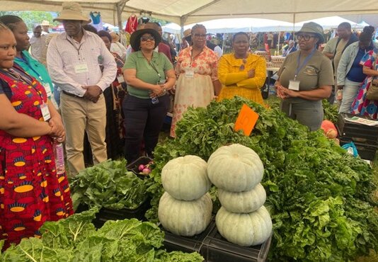 MEC Kontsiwe Engages Farmers at Agricultural Show