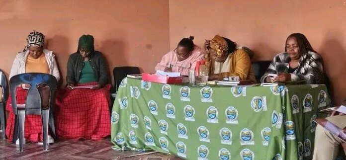 PSJ Municipality Moves To Unlock New Land For Growth PSJ Municipality Moves to Unlock New Land for Growth