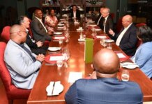 Premier Mabuyane Strengthens Economic Ties With Japan
