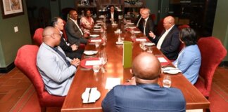 Premier Mabuyane Strengthens Economic Ties With Japan