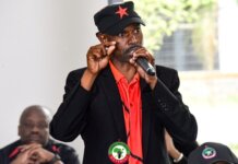 Provincial Organizer Resigns from Africa Mayibuye Movement