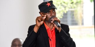 Africa Mayibuye Provincial Organizer Resigns Provincial Organizer Resigns from Africa Mayibuye Movement