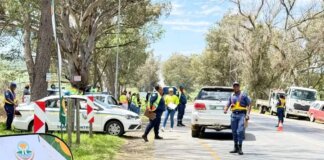 Raymond Mhlaba Municipality Wraps Up Transport Month with Major Road Safety Operation Raymond Mhlaba Municipality road campaign