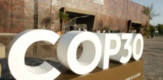 South Africa Backs Bold Climate Package at COP30 2025