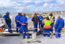 Van Niekerk Leads Service Delivery Drive in Gelvandale Van Niekerk Leads Service Delivery Drive in Gelvandale