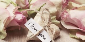 YOU GIVE ME BUTTERFLIES roses 2840743 640