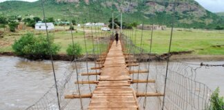 tebetebe bridge extra large