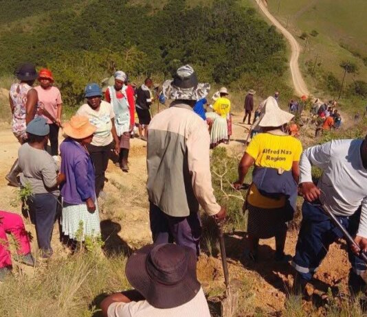 KwaKhanyayo Residents Build Their Own Road After Years of Neglect KwaKhanyayo Residents Build Their Own Road After Years of Neglect