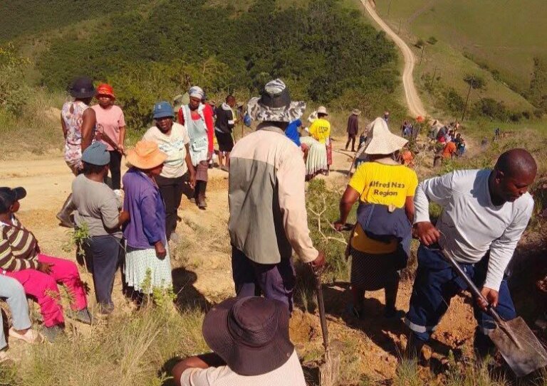 KwaKhanyayo Residents Build Their Own Road After Years of Neglect