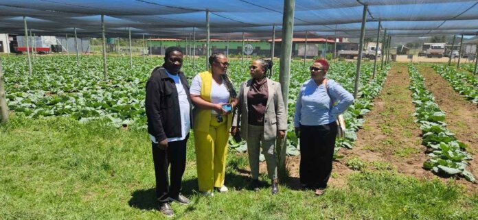 Meth Assesses Labour Activation Projects In Komani Meth Assesses Labour Activation Projects in Komani