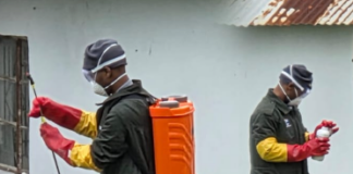 Strange Millipedes Prompt Health Checks in Port St Johns Ward 16