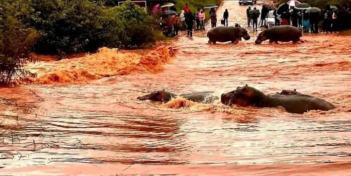 Dams in Limpopo and Mpumalanga Overflow as Heavy Rains Trigger Localised Floods