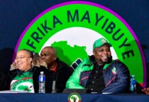 Internal Defeat and Constitutional Claims: What Nolubabalo Mcinga’s Challenge Reveals About Movement Power Struggles Internal Defeat and Constitutional Claims What Nolubabalo Mcinga’s Challenge Reveals About Movement Power Struggles