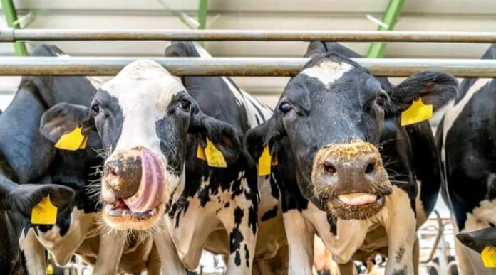 Legal action threaens vaccine roullout