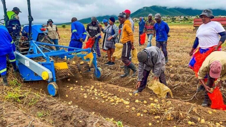 R19m Irrigation Scheme Revival Aims to Fight Poverty in Eastern Cape