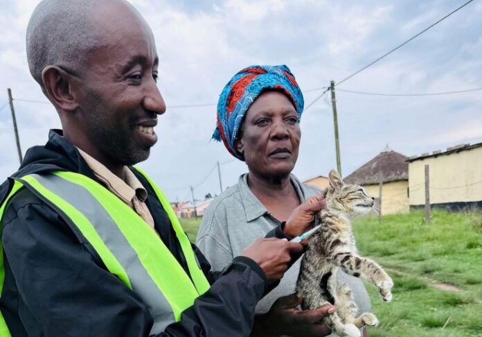 Rabies Awareness Week Campaign Underway In Bizana Rabies Awareness Week campaign underway in Bizana
