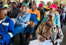 Eastern Cape FMD Awareness Drive Held in Rocklands FMD foot and mount desease