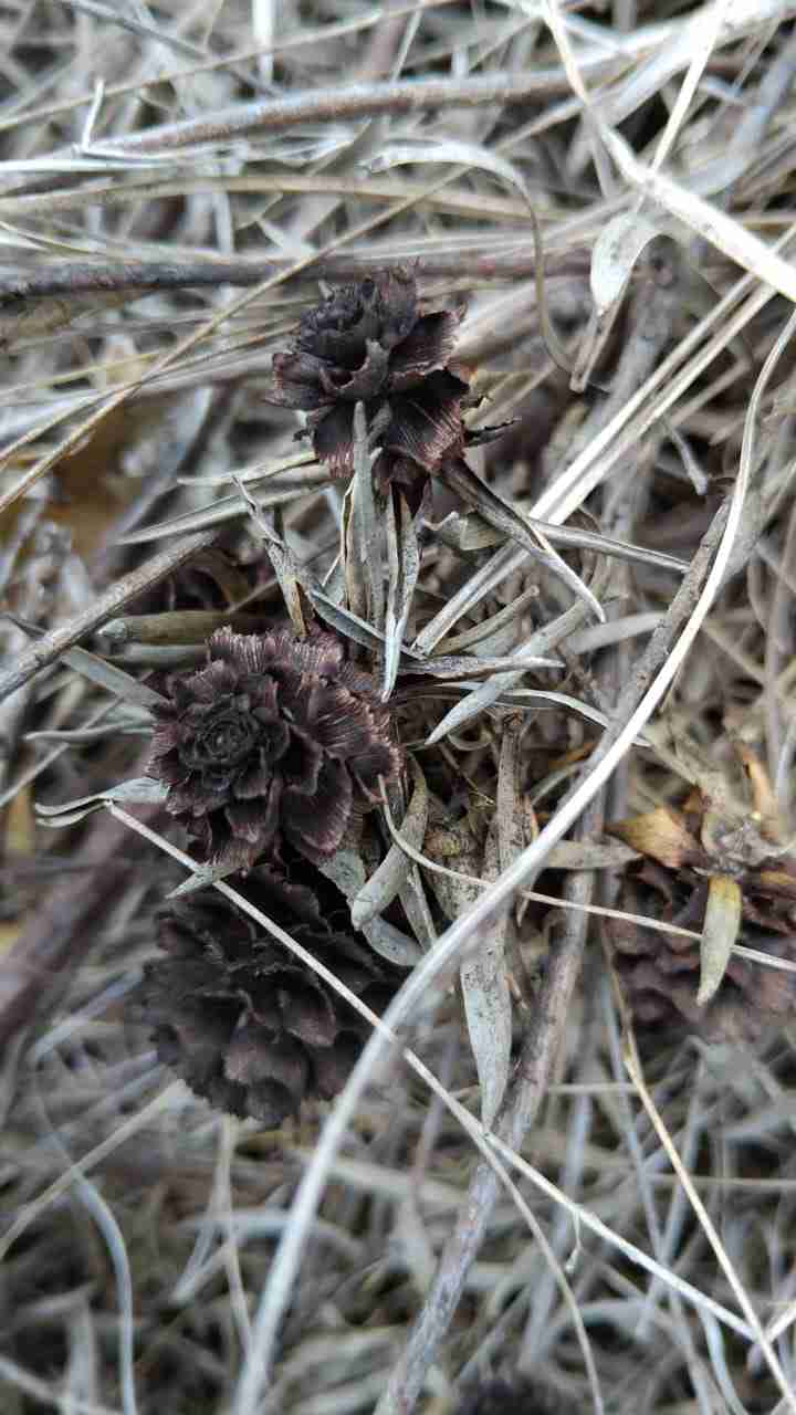 Photos From Sinegugu Zukulu, (2) 11zon Photos by Sinegugu Zukulu. Tourist Guide, Environmentalist, Nature enthusiast