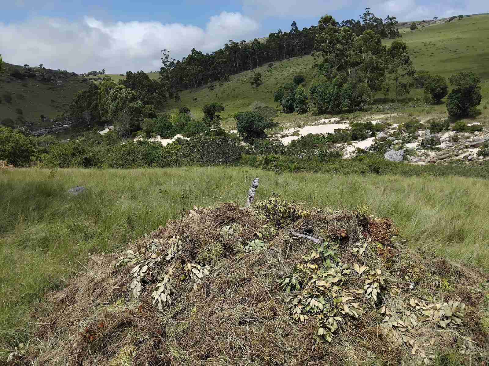 Photos From Sinegugu Zukulu, (3) 11zon photos from Sinegugu Zukulu, (3) 11zon