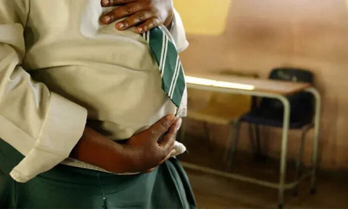 Teenage Pregnancy School-Focused Guide: Teenage Pregnancy Trends and Support in Alfred Nzo and OR Tambo