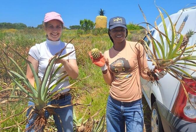 Eastern Cape startup turns pineapple leaves into reusable nappies lasting two years
