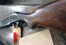 Two Men Arrested in OR Tambo for Stolen Vehicle and Attempted Murder Two Men Arrested in OR Tambo for Stolen Vehicle and Attempted Murder