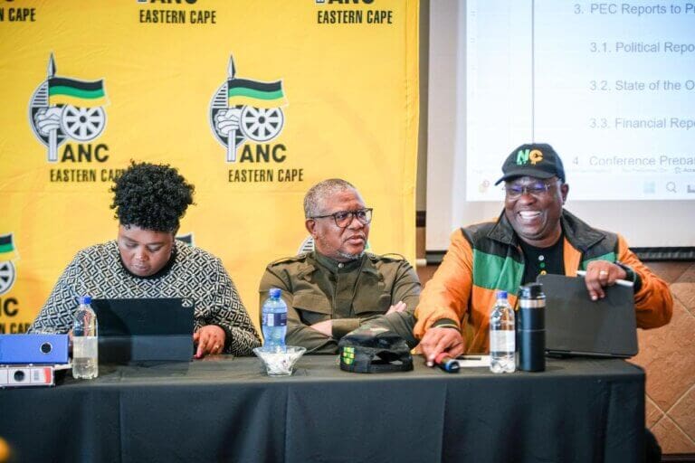 eastern cape politics