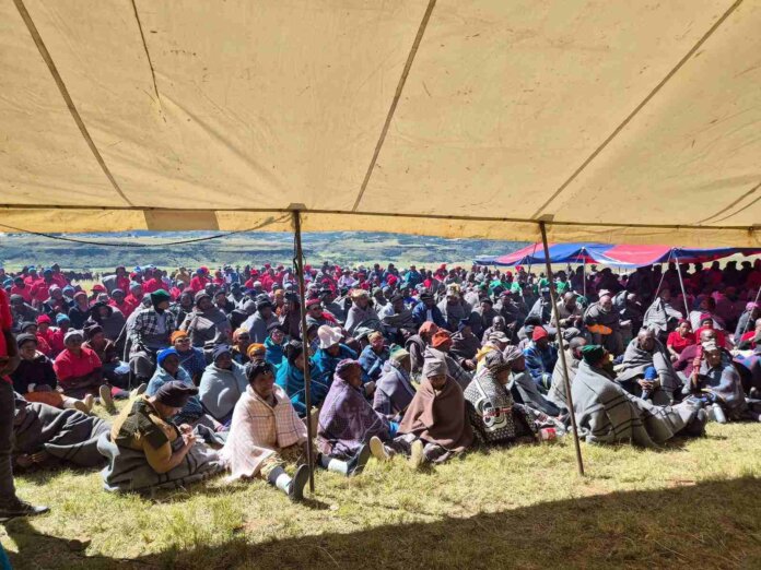 Unity drives fight against stock theft in Matatiele