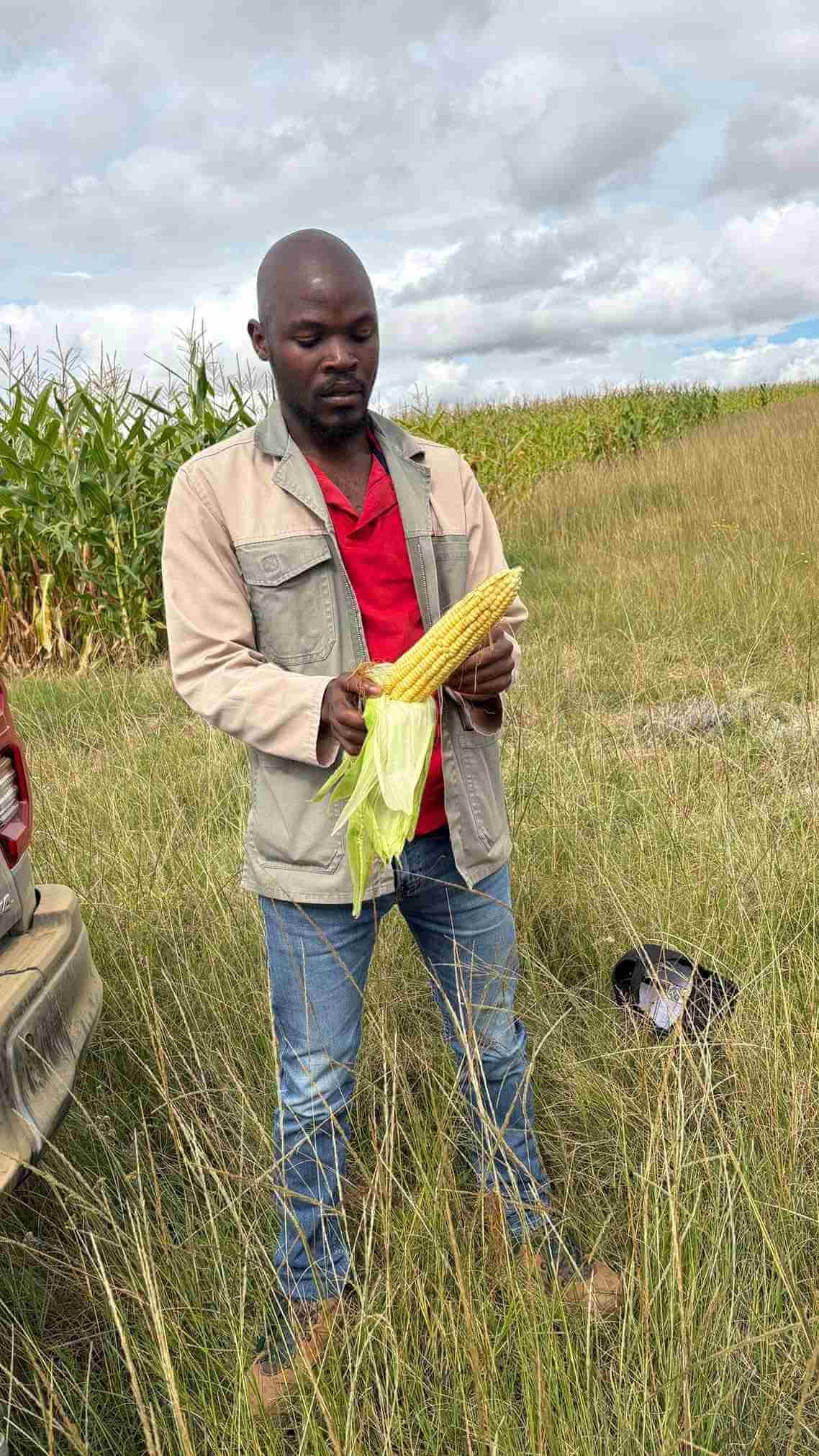 Matatiele farmer expands maize project and creates local jobs Matatiele farmer expands maize project and creates local jobs
