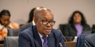Government unveils plan for 100,000 jobs as industrial push begins Minister Parks Tau