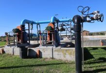 Despatch wastewater upgrade boosts compliance to 88% NMBM Water