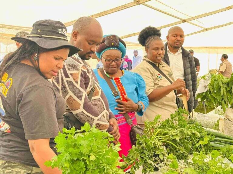 Umzimvubu agricultural show returns, but disease outbreak limits livestock displays