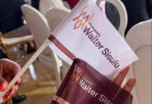 Has iYunivesithi Walter Sisulu taken the right decision in unveiling a new institutional identity? walter university