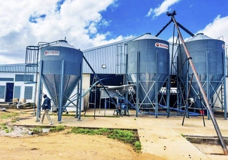 ECRDA moves to revive Mbizana RED Hub through new private partnership3