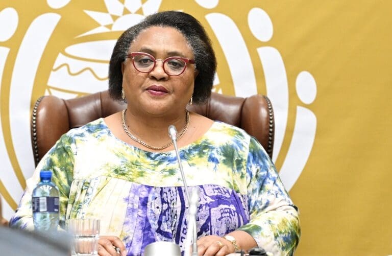 Thoko Didiza NA 1