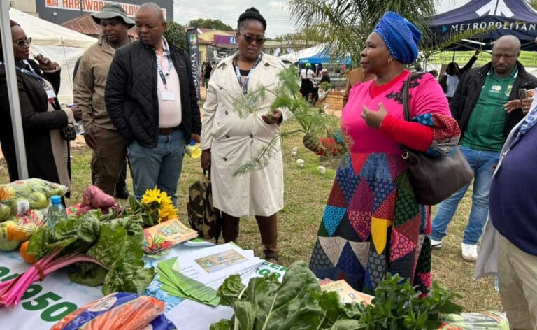 Agricultural show connects farmers to buyers in Butterworth